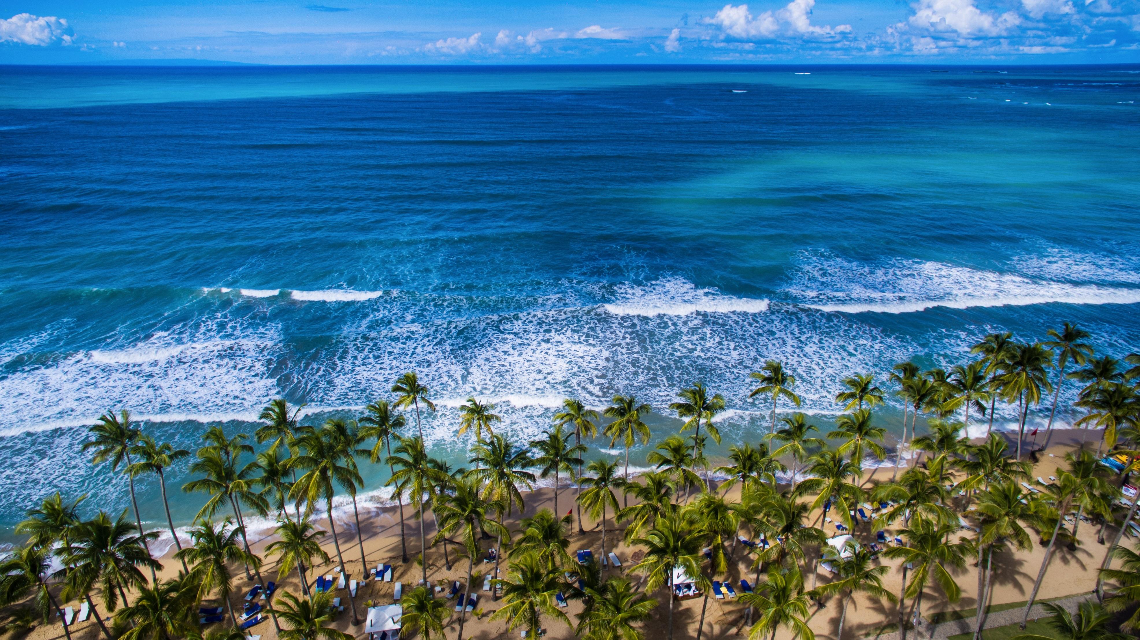 فيفا ويندام في سامانا - منتجع شامل الكل، للكبار فقط لاس تاريناس المظهر الخارجي الصورة Atlantic Ocean shoreline in Punta Cana